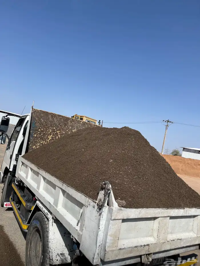 دينا رمل وبلك 9