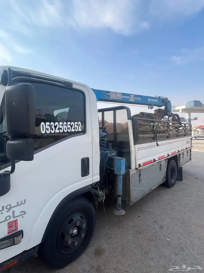 دنه ابل المزاحميه ضرماء الجله نساح الصدر الاعلى البخراء 0
