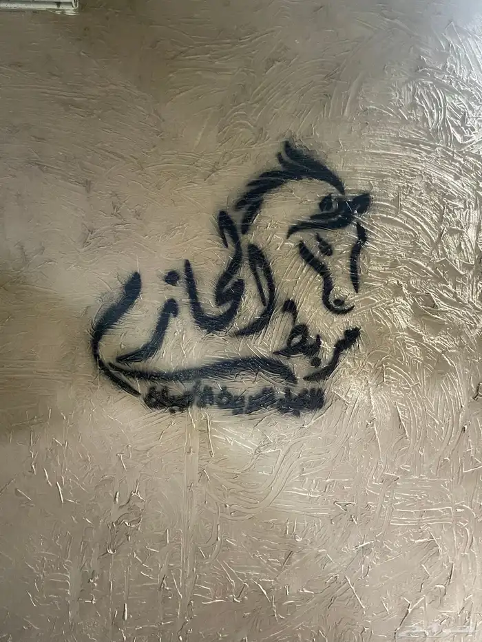 مربط الحازم للخيل العربية الأصيلة-عروض مميزة -تكسير الاسعار 9