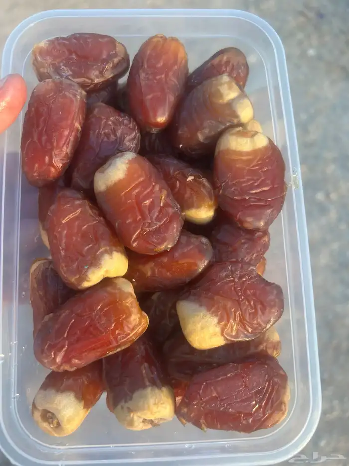 مطلوب وكيل تمور في خميس مشيط 1