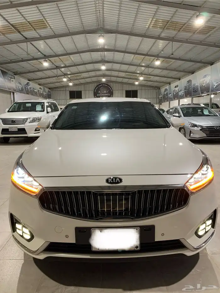 كادينزا بنزين شرط2019 0