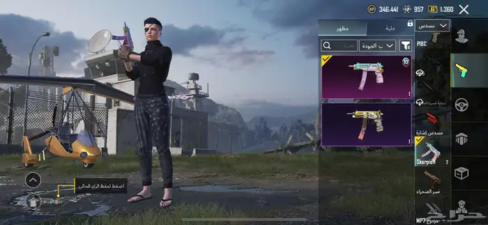 حساب ببجي للبيع 19
