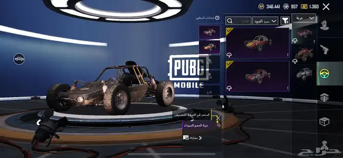 حساب ببجي للبيع 14
