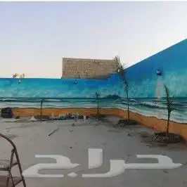 رسومات متنوعة 48