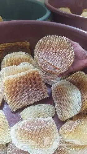 ع س ل علاج لكل مرض 0