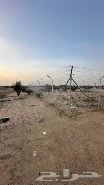 مقاول شبوك 6