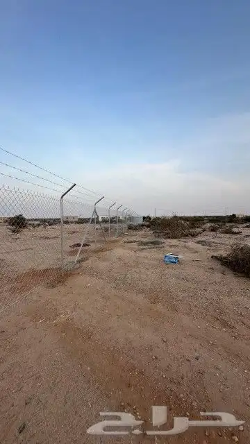 مقاول شبوك 5