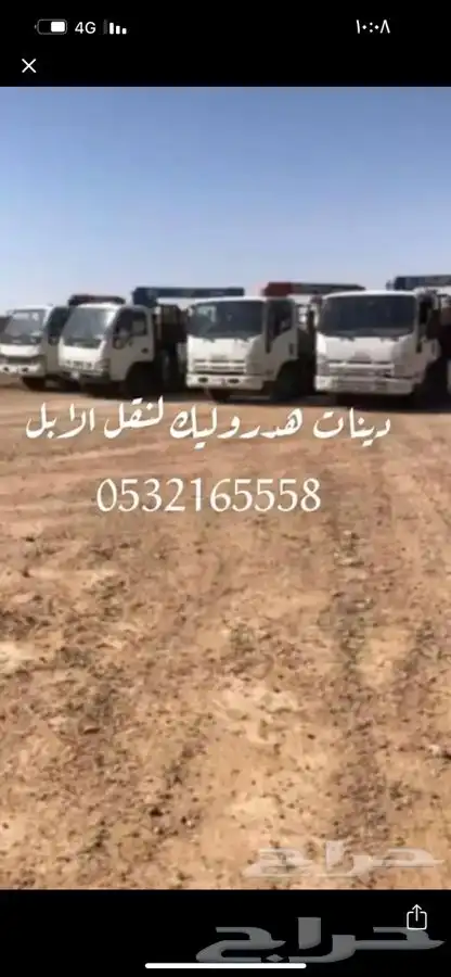 دينات ونش شقراء لنقل الابل باسعار مناسبه 0