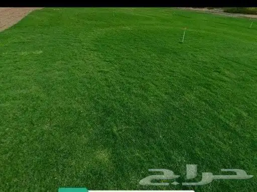 ثيل طبيعي 9