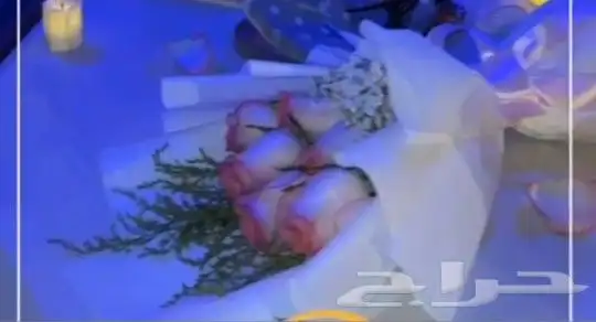 رحلات وحفلات بحريه 4