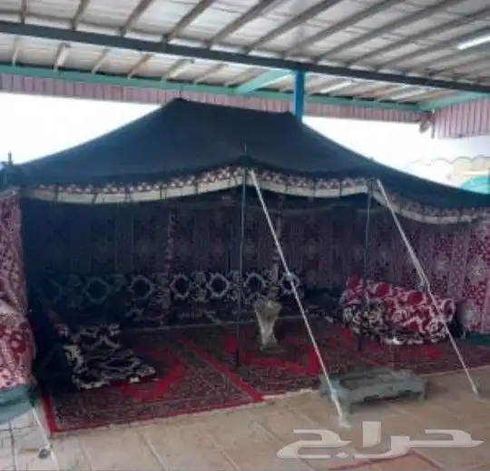 تاجير خيام تاجير بيوت شعر دفايات غاز عقود نور ليد زل كبير وص 2