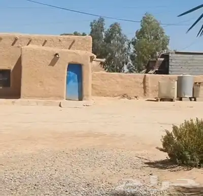 اعمال تراث القديمه بناء وتليوس الأسوار والبيوت 8