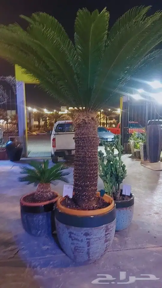 تنسيق حدائق 0