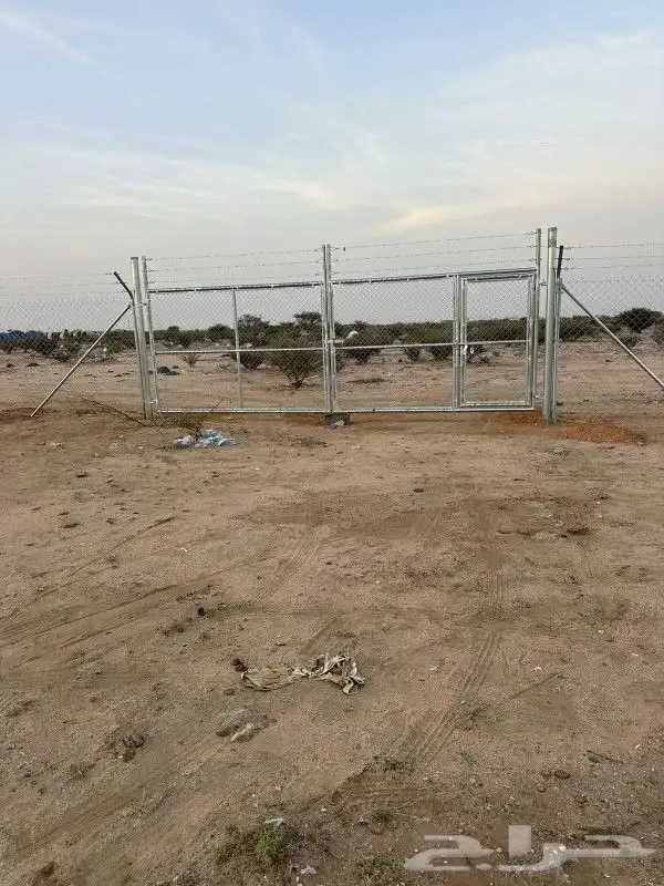 مقاول شبوك 3