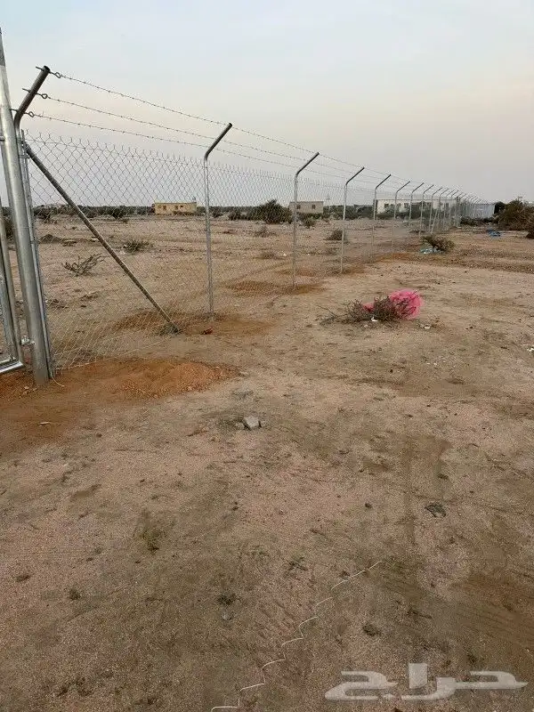 مقاول شبوك 0