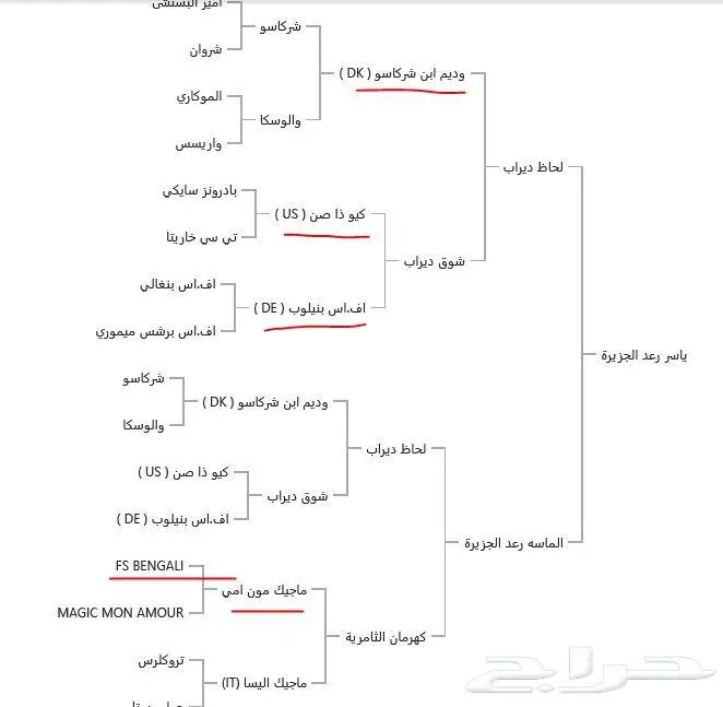 حصان عربي أصيل 2