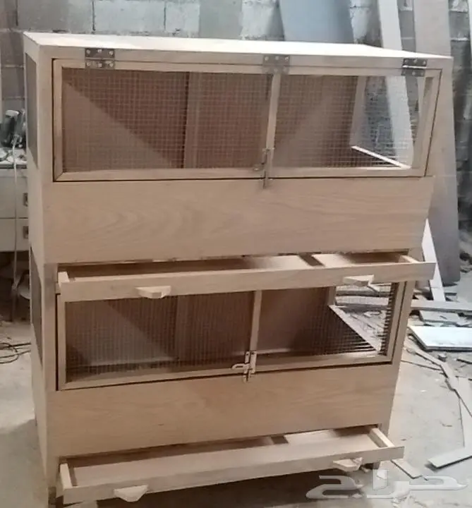 ينبع البحر 8
