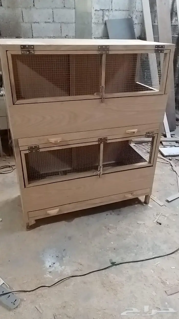 ينبع البحر 12