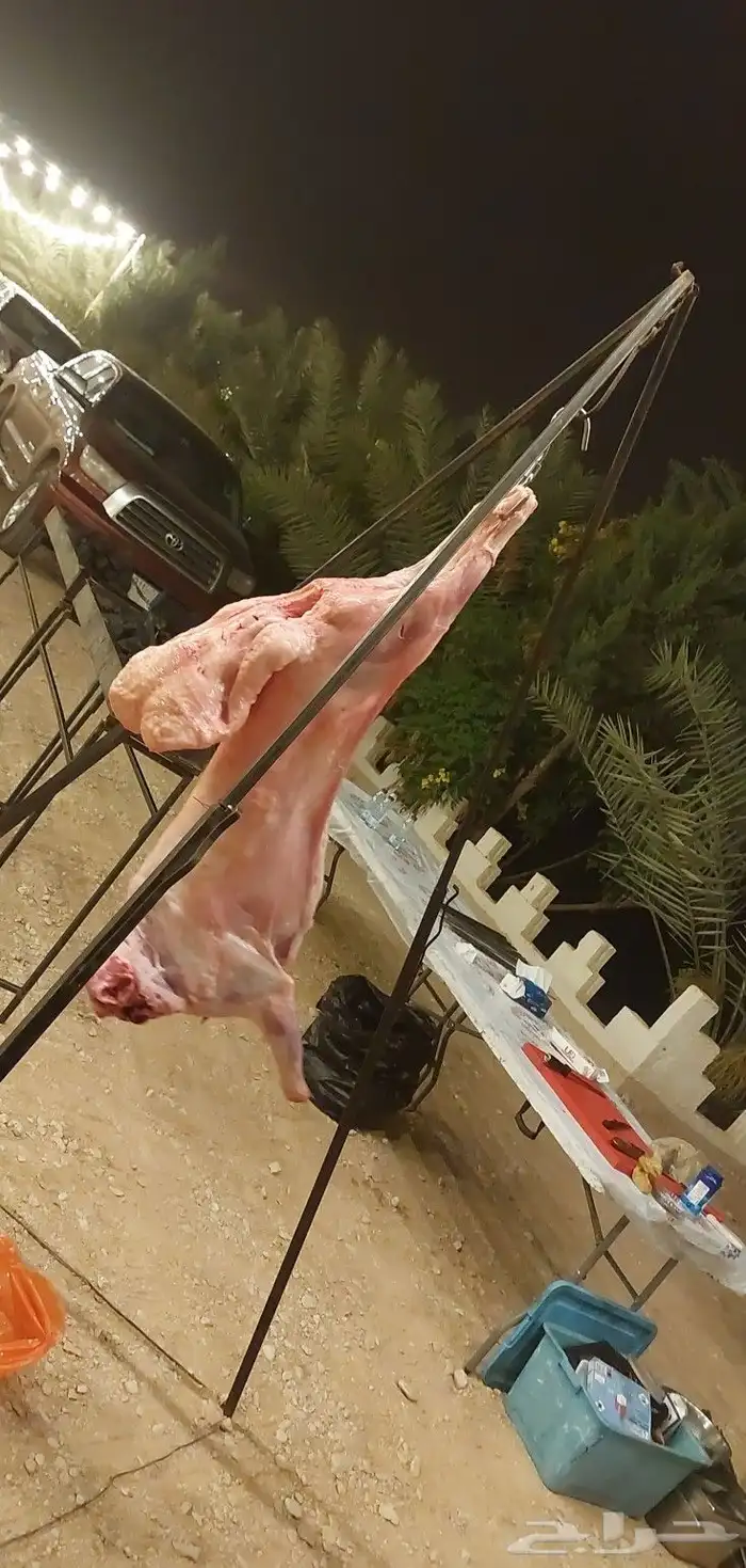 مشويات 7
