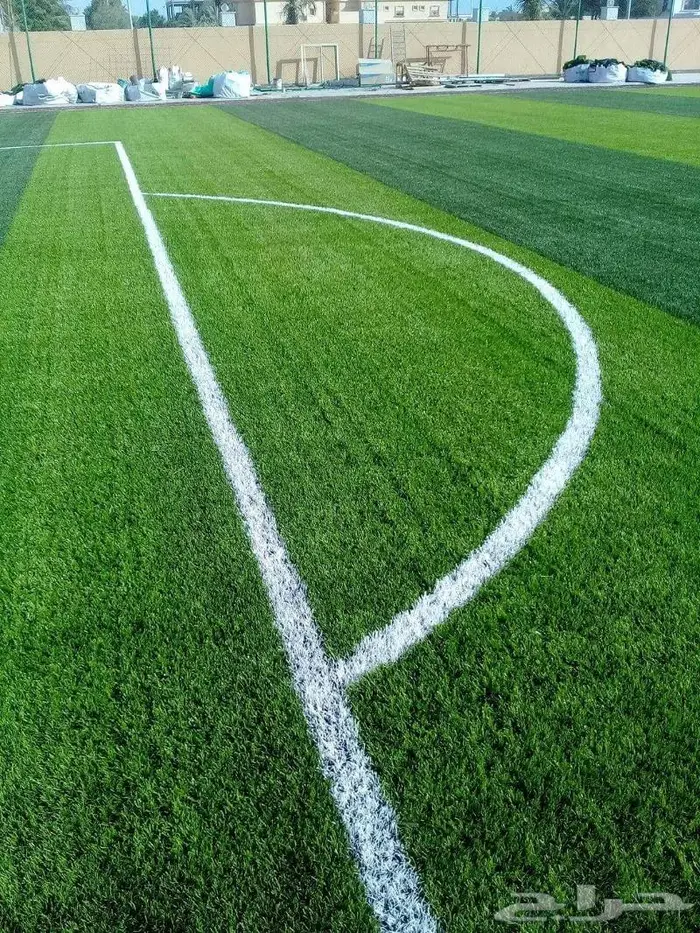 ثيل طبيعي ياباني c2000 فرنسي انتورو أمريكي تصميم ملاعب 16