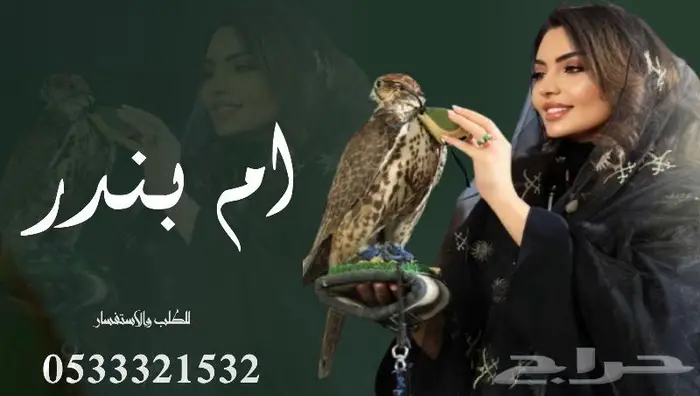 منشد شيلاتشاعر جزل 0