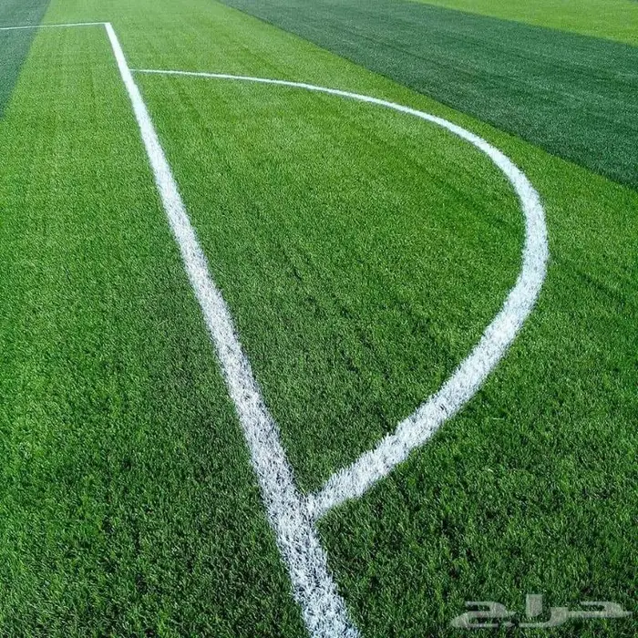 ثيل طبيعي ياباني c2000 فرنسي انتورو أمريكي تصميم ملاعب 15