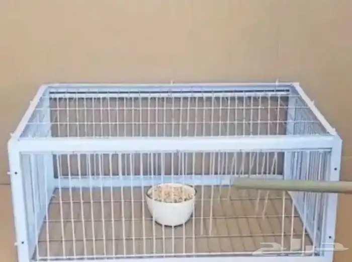 مطلوب مصيدة حمام 0