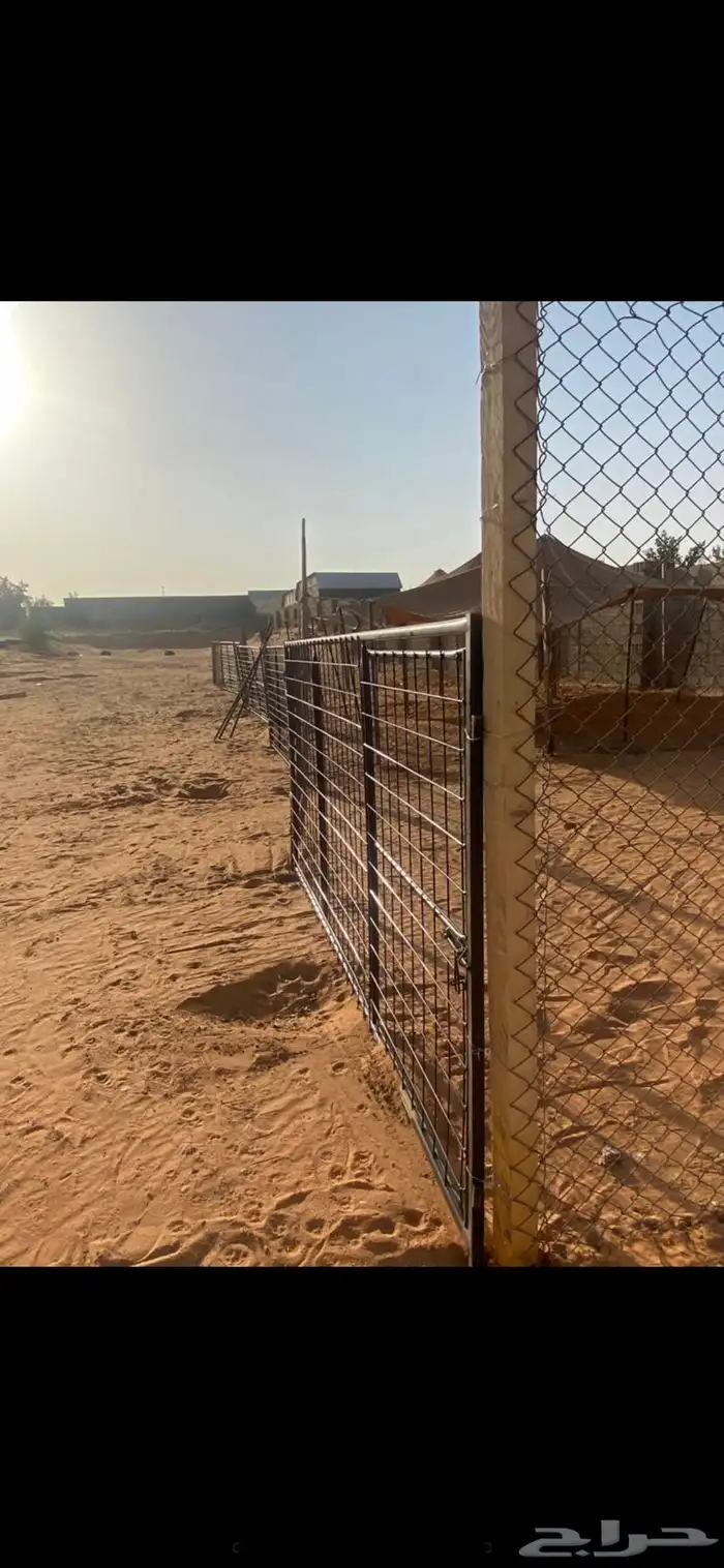 إيجار حضائر اغنام بالمزاحمية 0