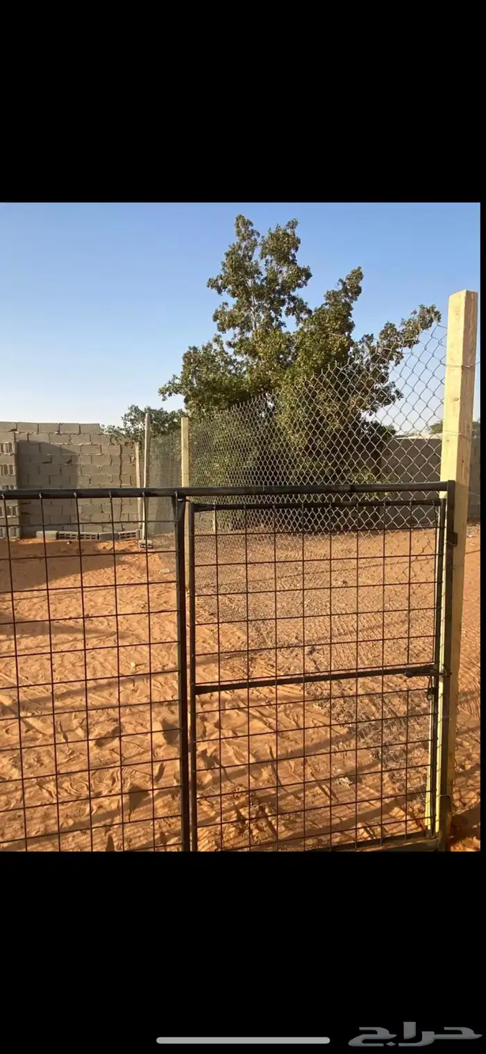 إيجار حضائر اغنام بالمزاحمية 1