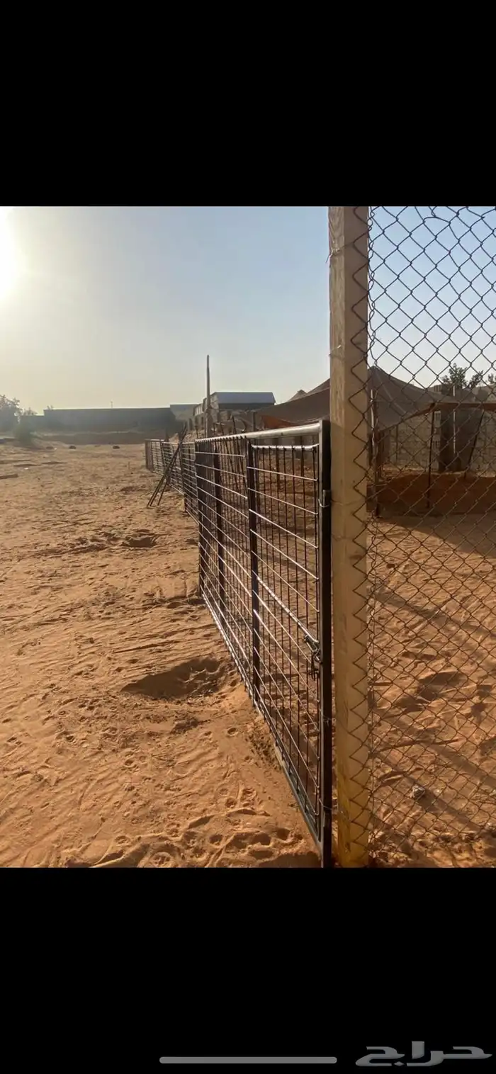 إيجار حضائر اغنام بالمزاحمية 2