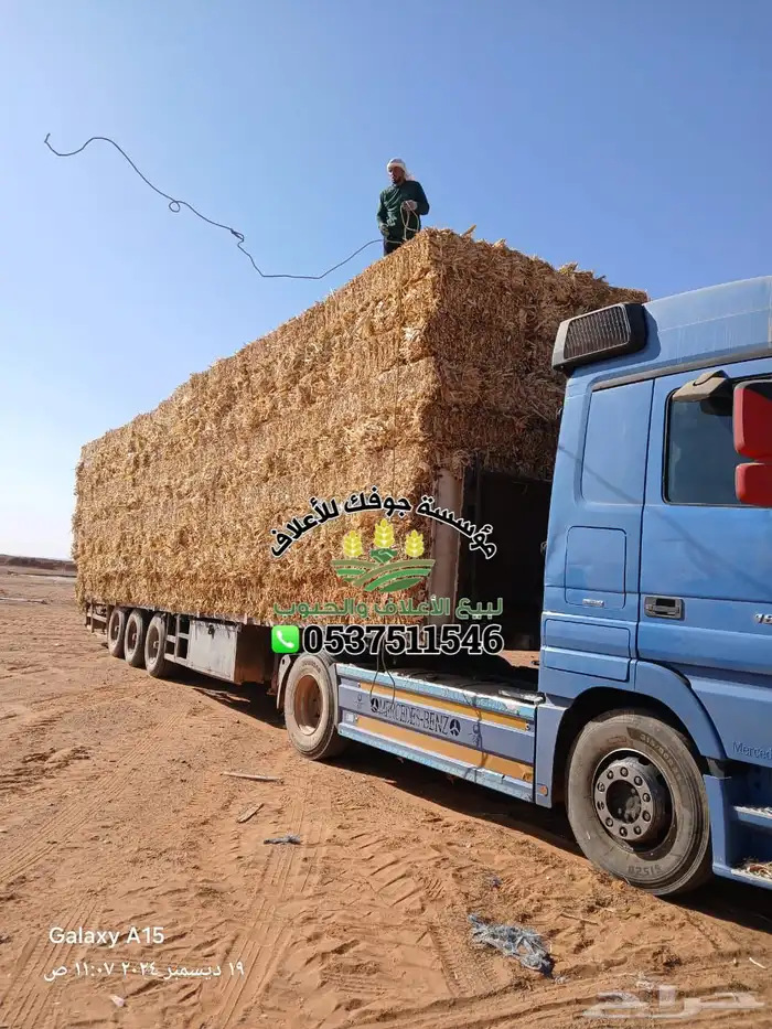 ذره شاميه شد ولجر الدفع عندالوصول 2
