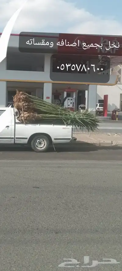 يوجد لدينا جميع انواع انخيل 0