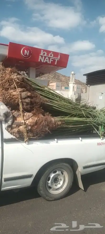 يوجد لدينا جميع انواع انخيل 2