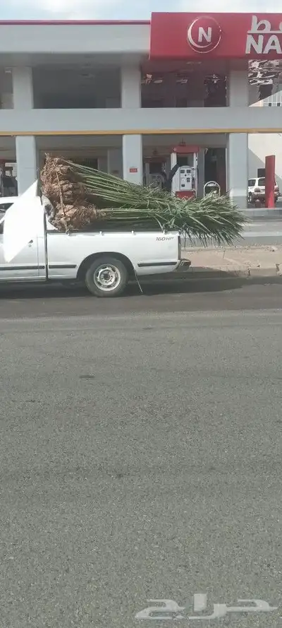 يوجد لدينا جميع انواع انخيل 1