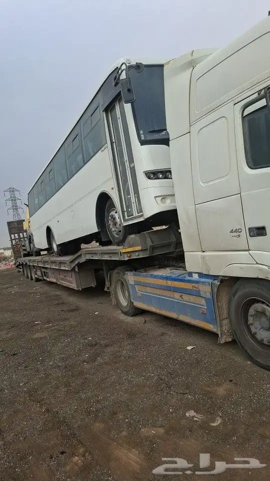 لوبد الرياض 1