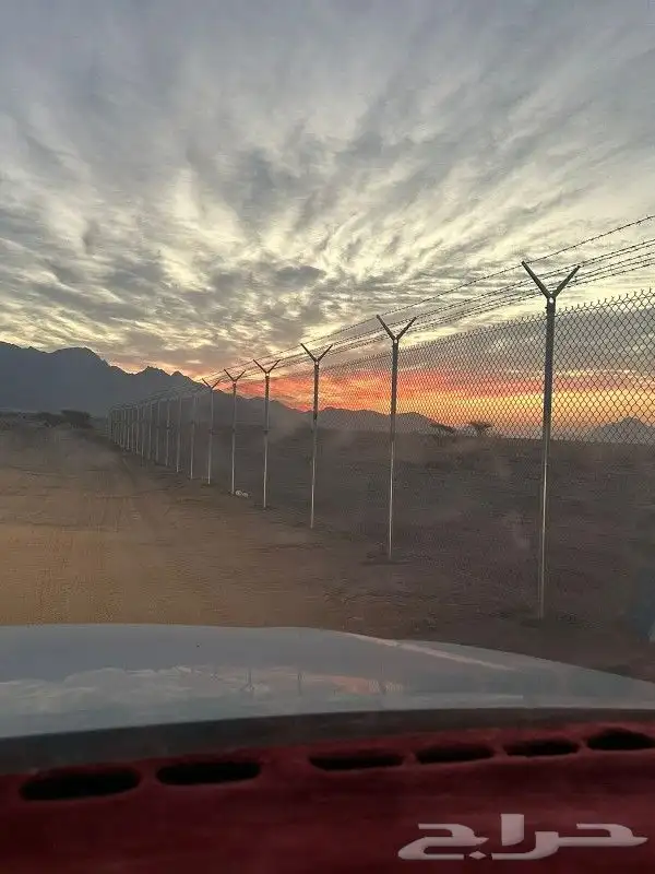 نخيل للبيع معا التوصيل والغرس وقسم خاص لتركيب الشبوك المزارع 7