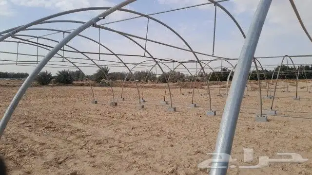 اشرف مزارع وبيوت محمية 4