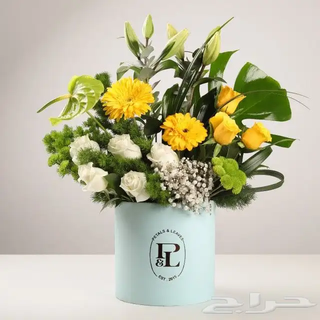 موجود منسق زهور في المدينه او في اي مكان 4