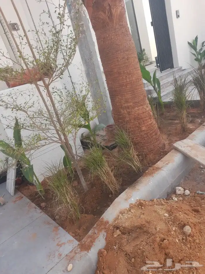 مشتل تنسيق حدائق 3