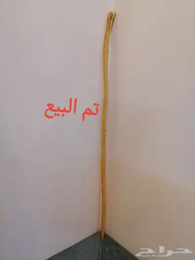 عصا شوحط جبره وطويله ( تم البيع ) 1