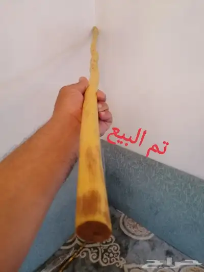 عصا شوحط جبره وطويله ( تم البيع ) 6