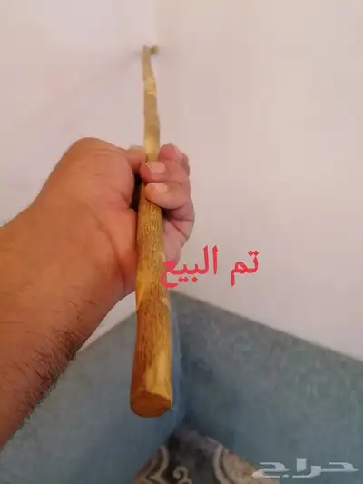 عصا شوحط ( تم البيع ) 8