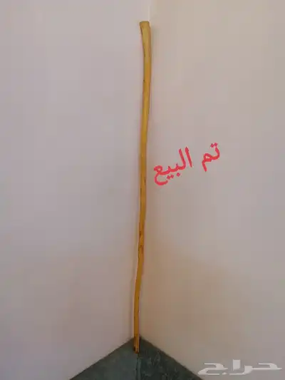 عصا شوحط جبره وطويله ( تم البيع ) 0