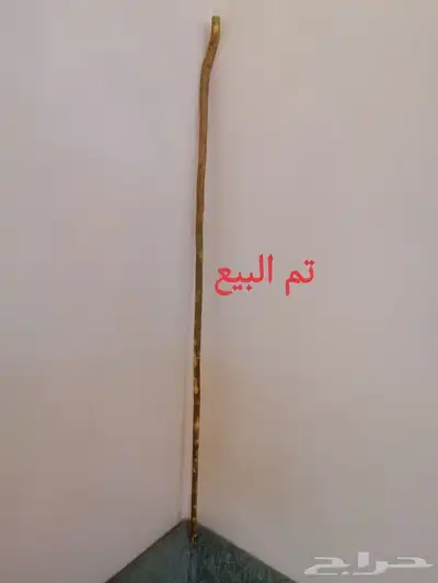 عصا شوحط ( تم البيع ) 1