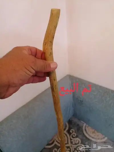 عصا شوحط ( تم البيع ) 9