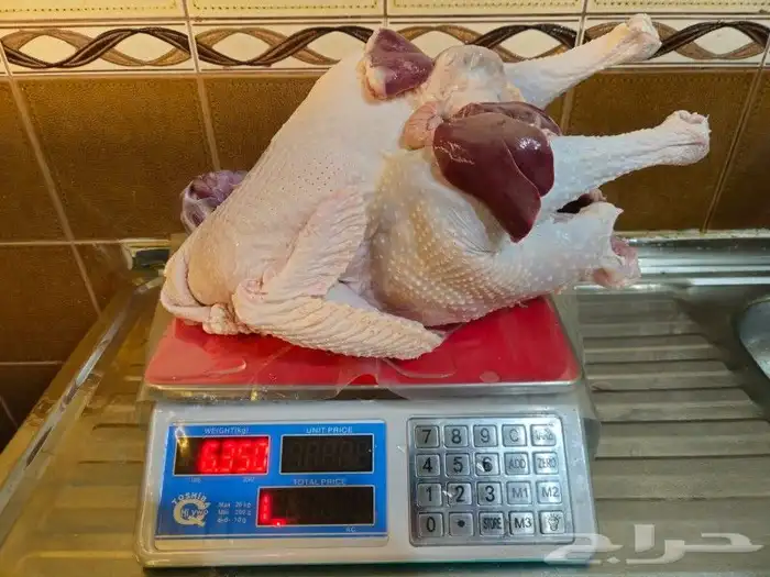 ديك رومي ذبح طازج عند الطلب 0