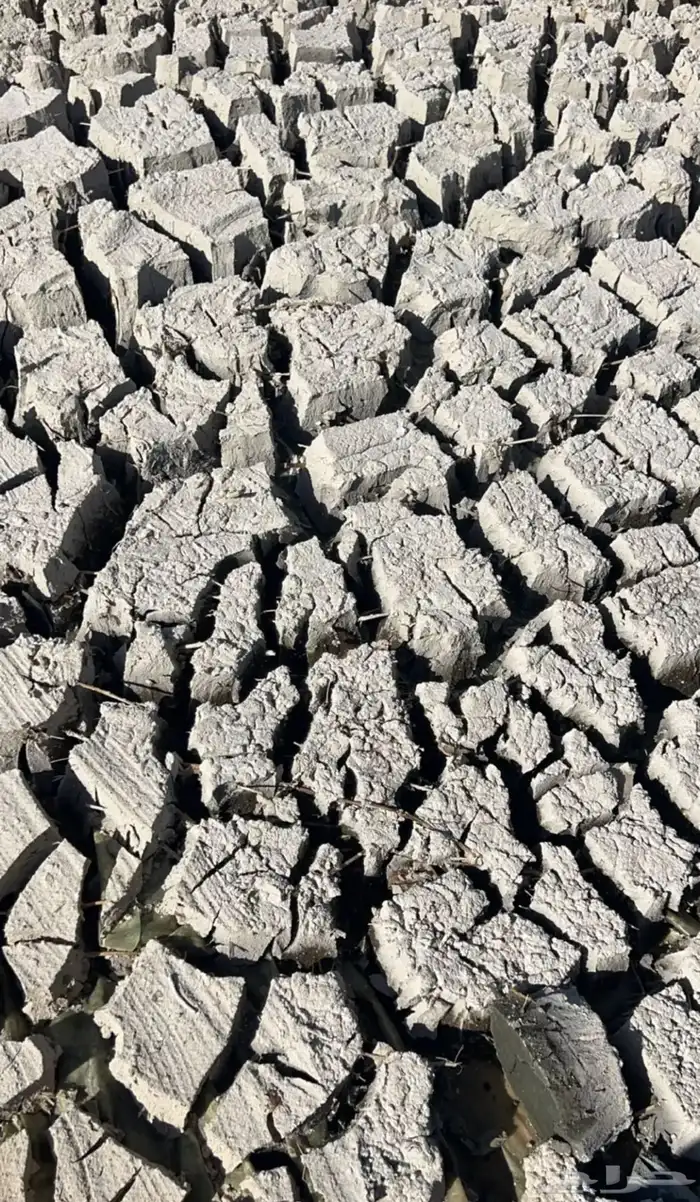 سماد اسماك بلطي عضوي ماعبه با اكياس شعير 40ك 0
