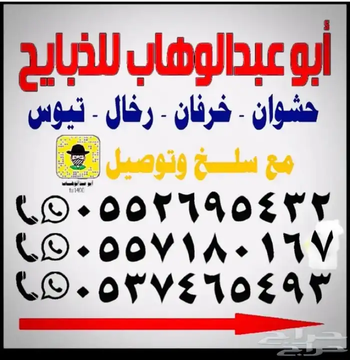 خرفان ذبايح حريه مع السلخ والتقطيع والتوصيل 17