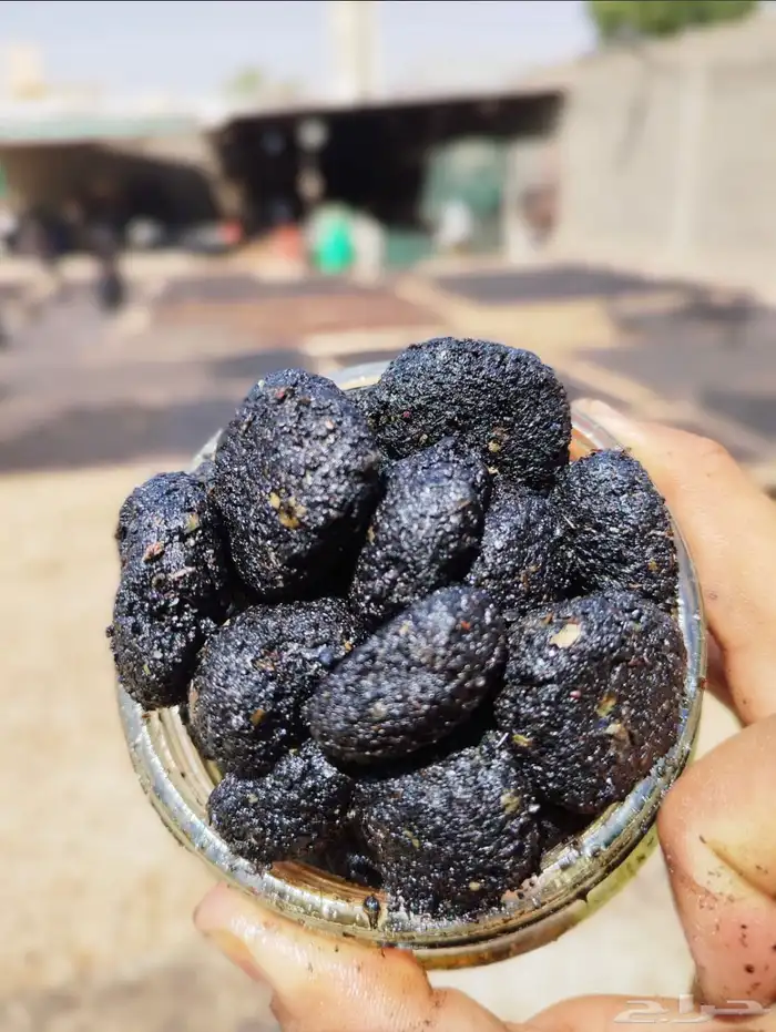 معمول دوسري 4