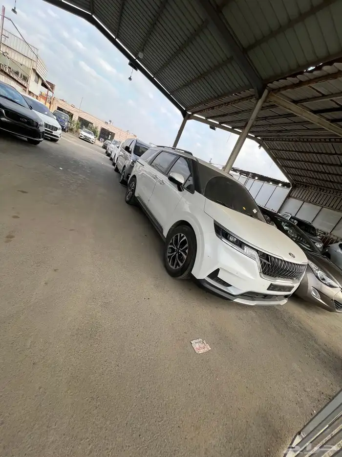 كرنفال ديزل 9 راكب 2021   تم البيع 0